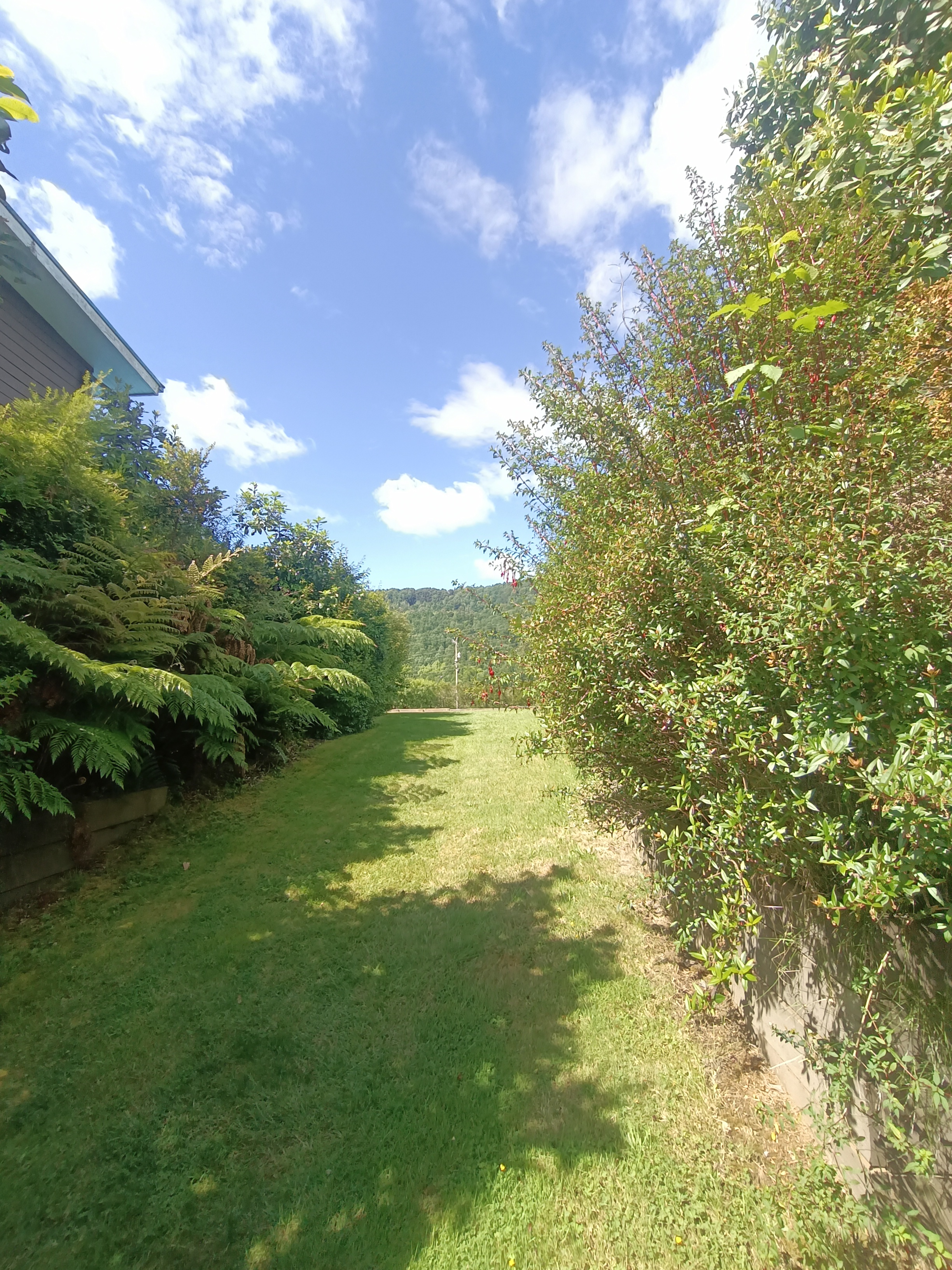Miniatura 18