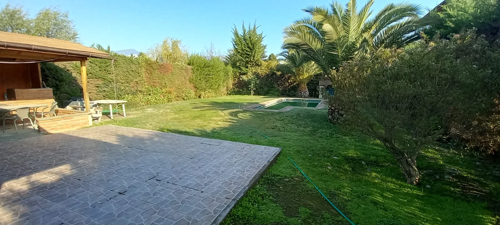 Miniatura 25