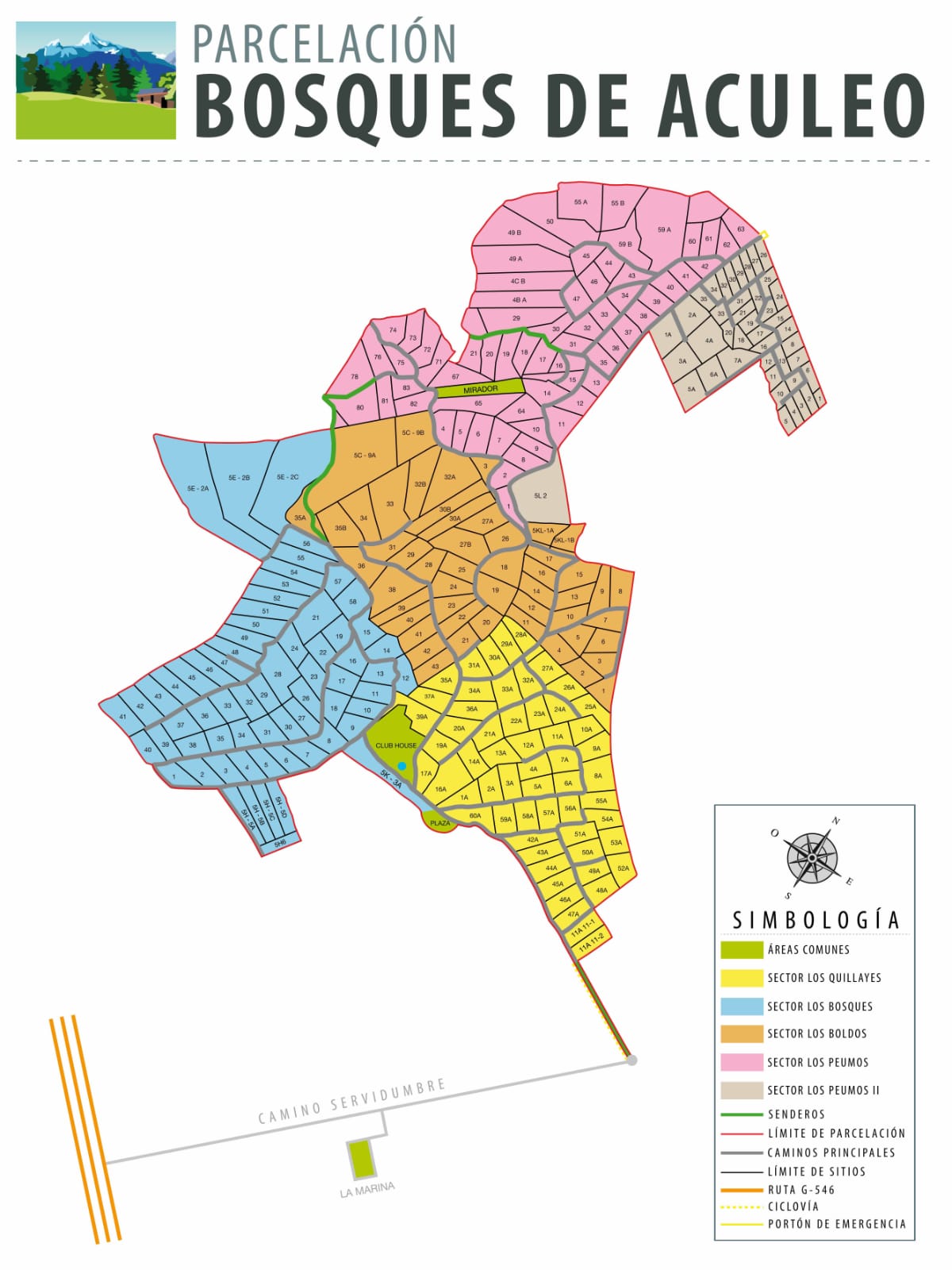 Miniatura 13