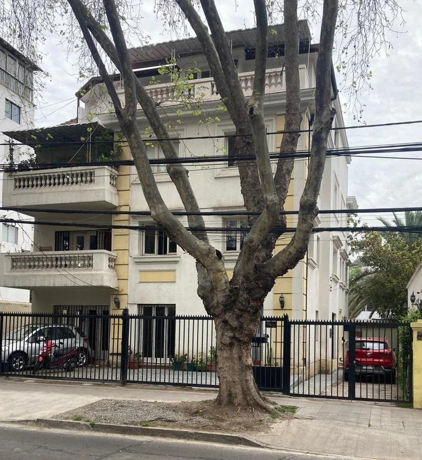 Imagen de 🏢 Activo Inmobiliario Prime en Providencia | Edificio Multifamiliar con Flujo de Caja Inmediato y Alta plusvalia