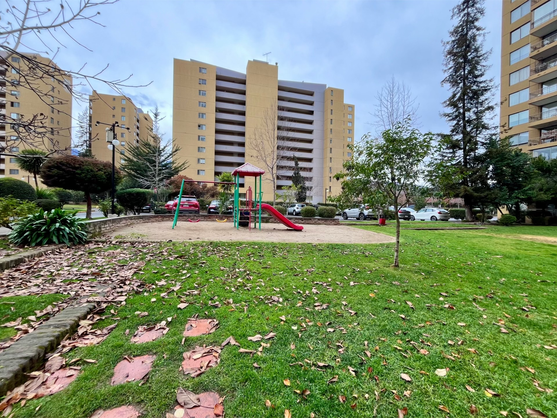 Miniatura 12