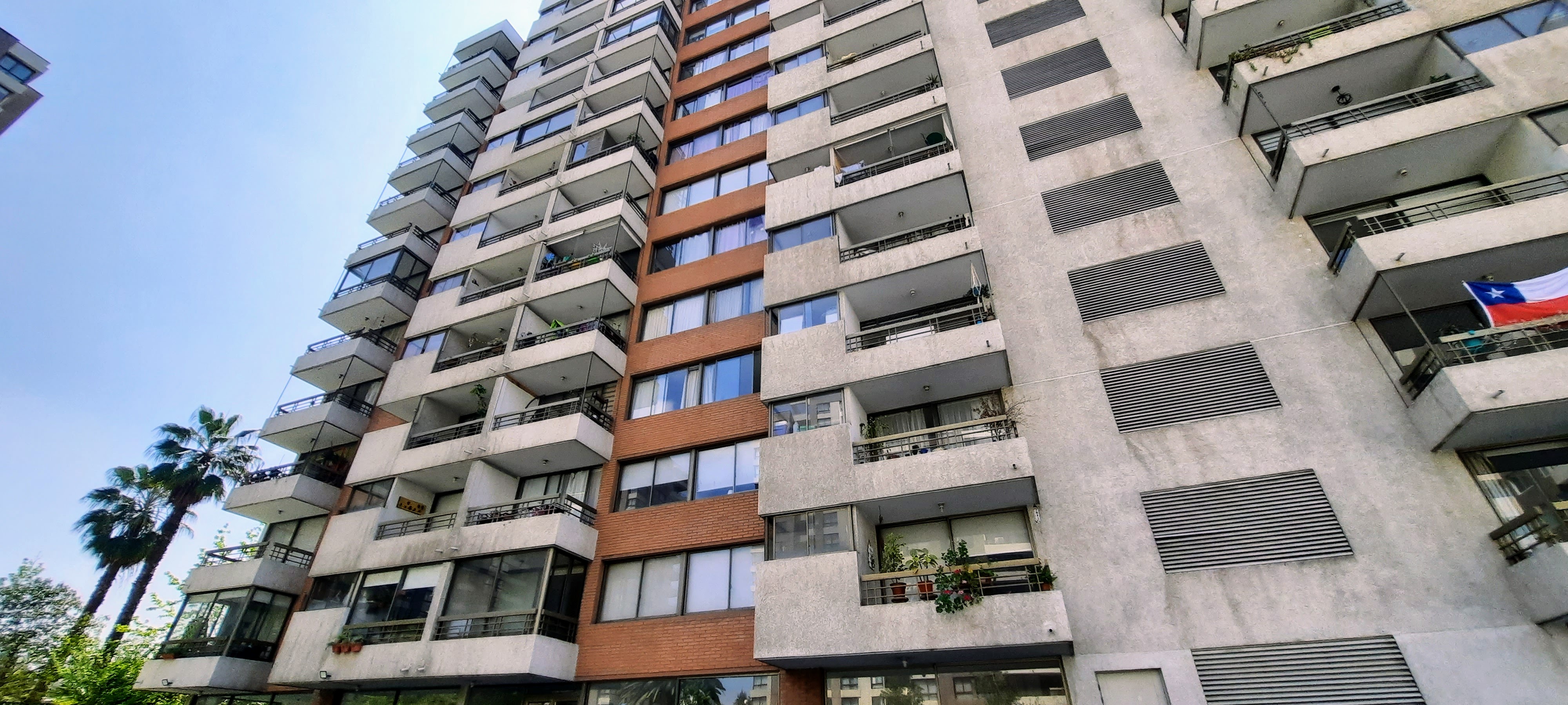 Miniatura 39