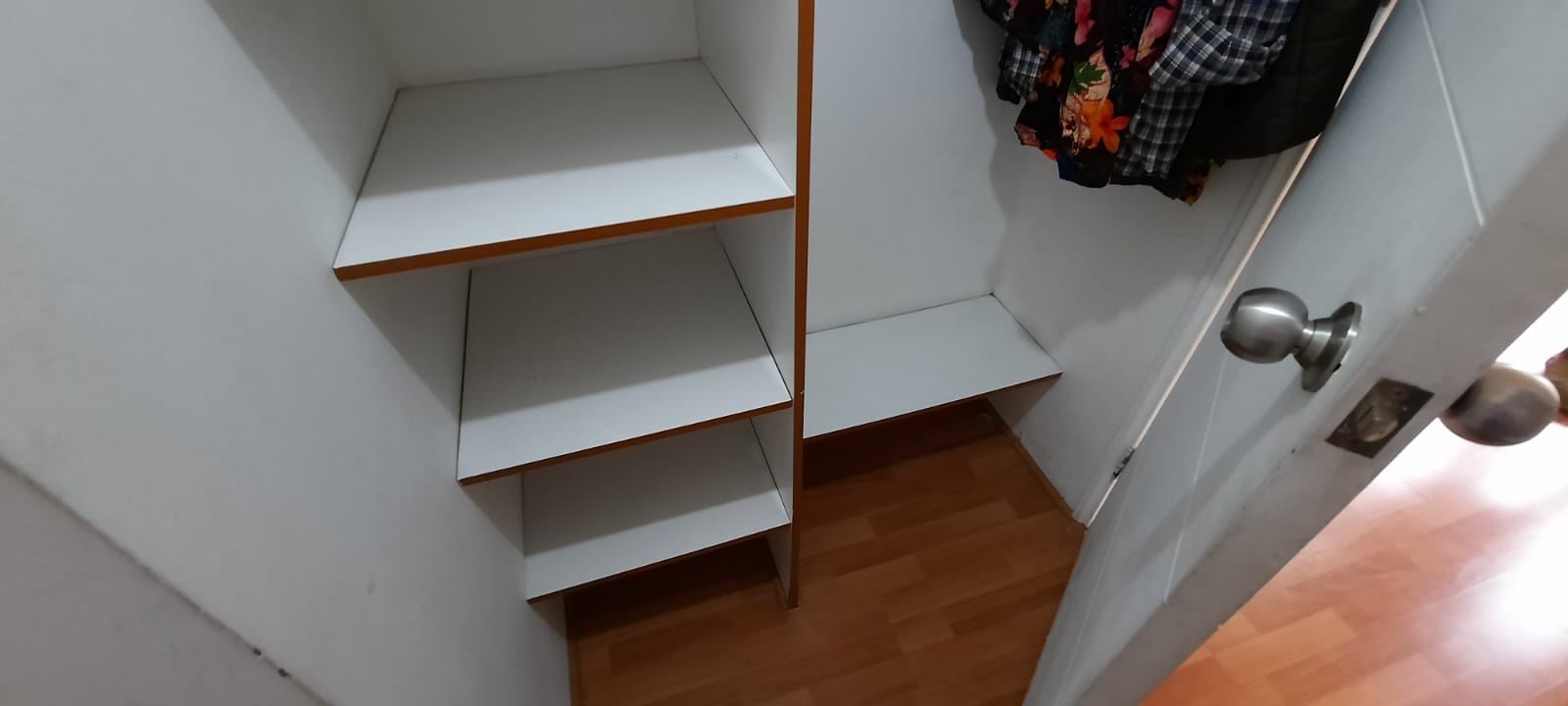 Miniatura 19
