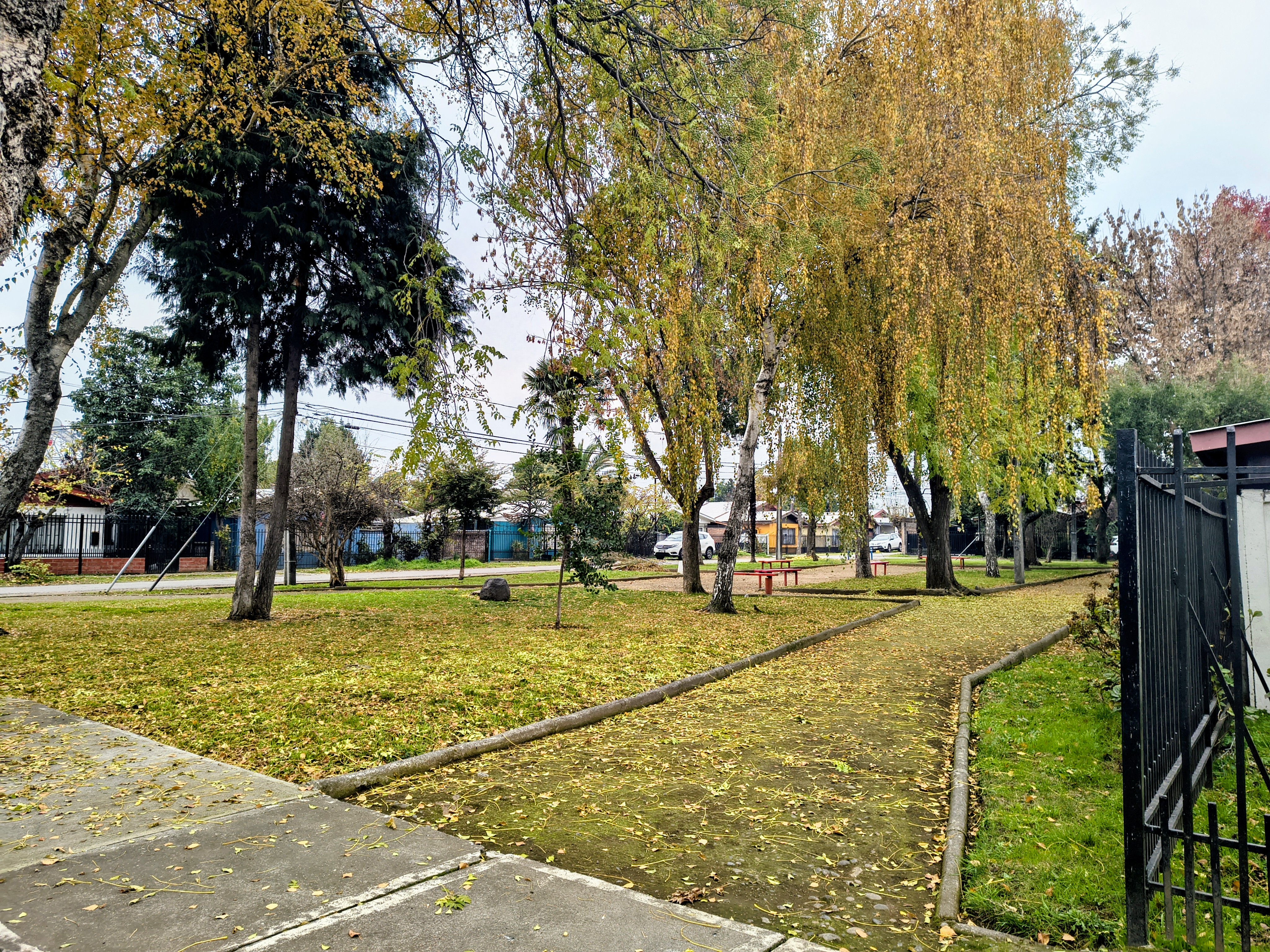 Miniatura 22