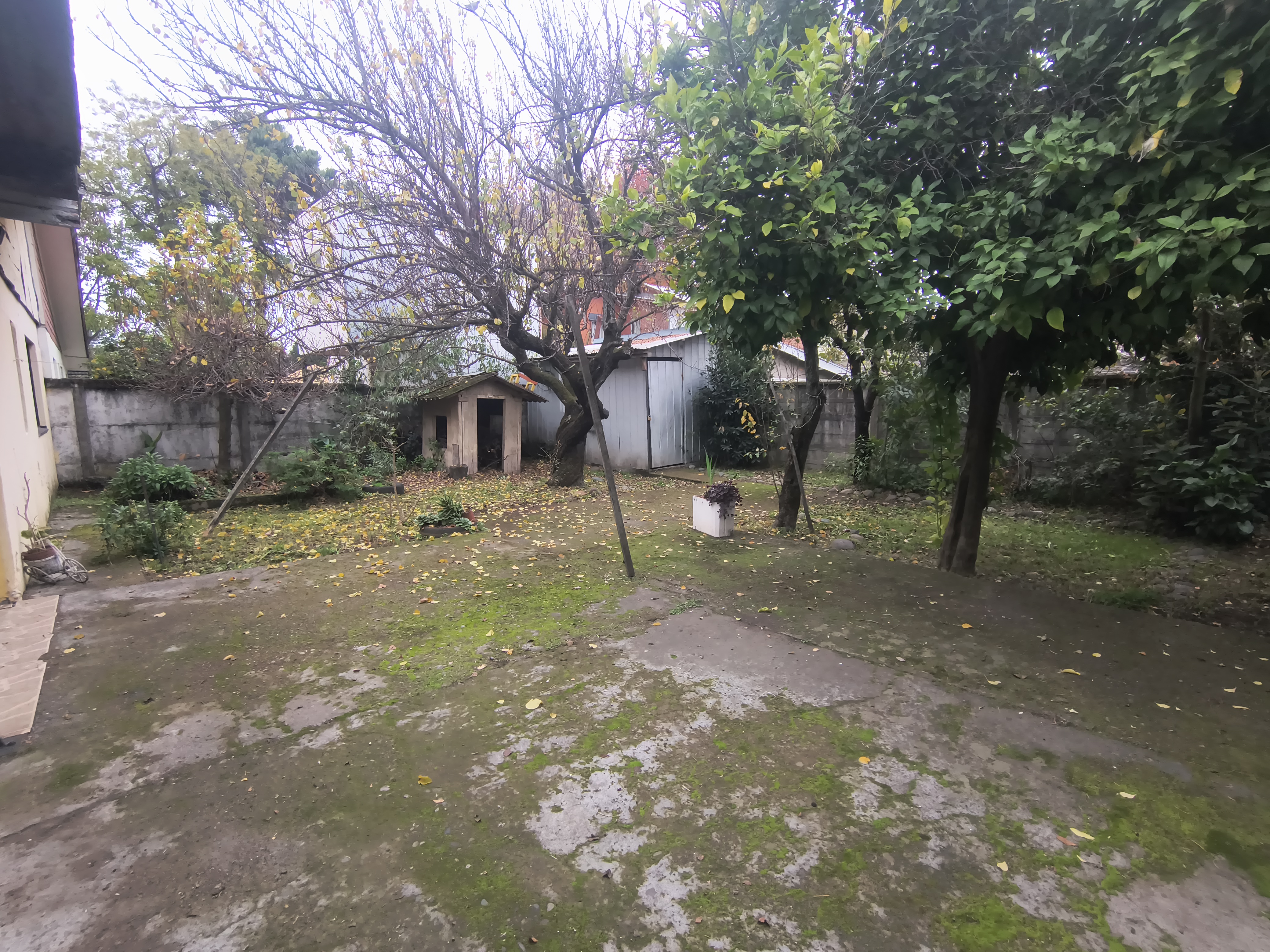 Miniatura 23