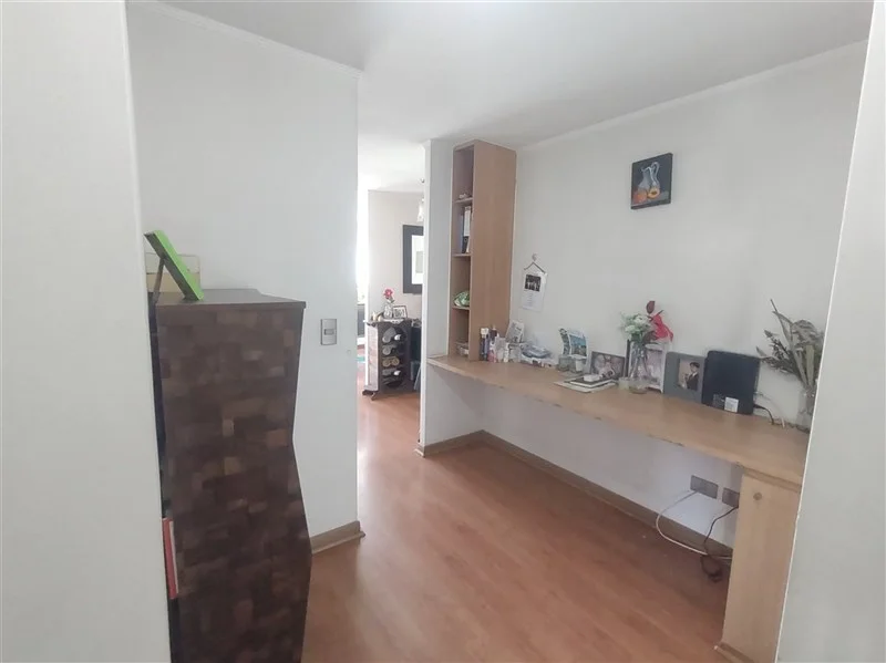 Miniatura 13