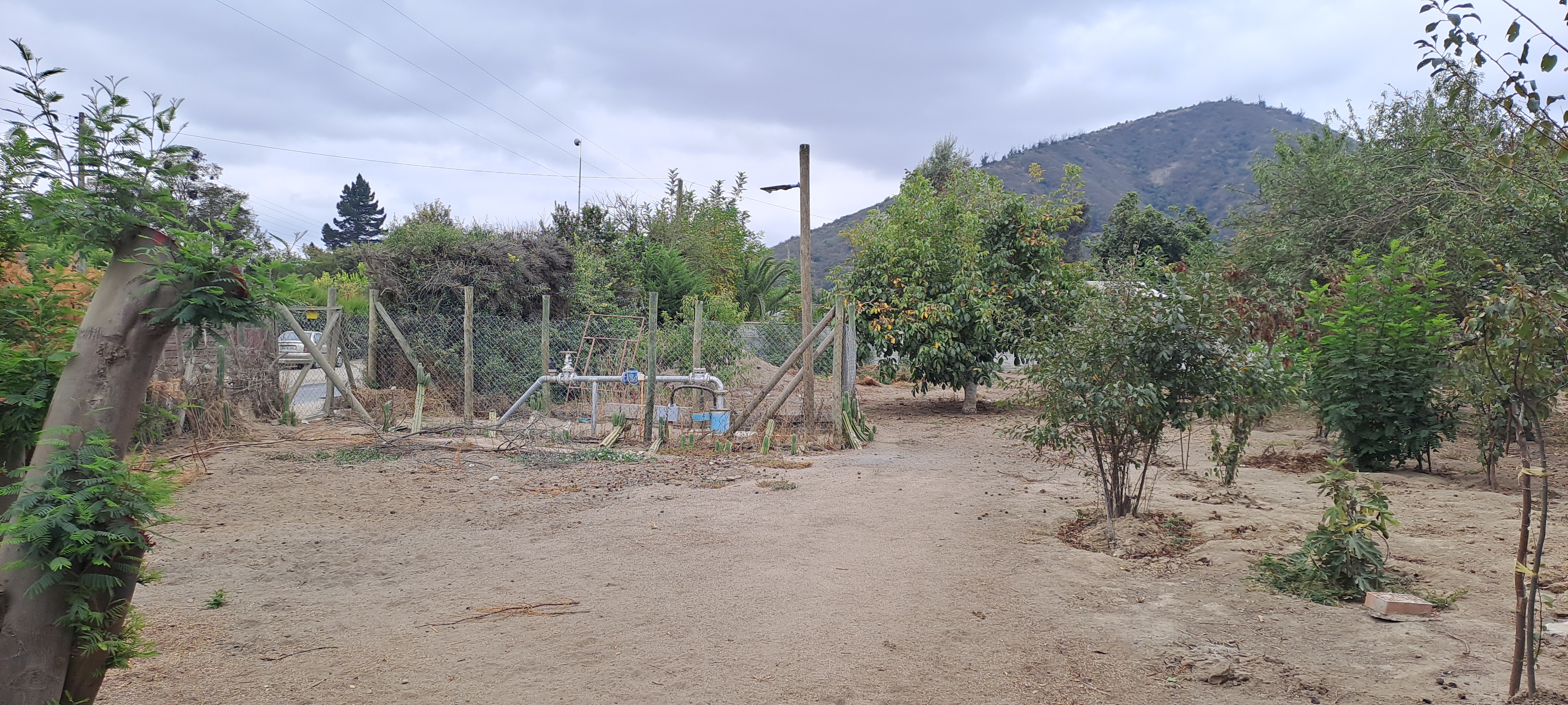 Imagen de oportunidad venta parcela productiva en zona URBANA